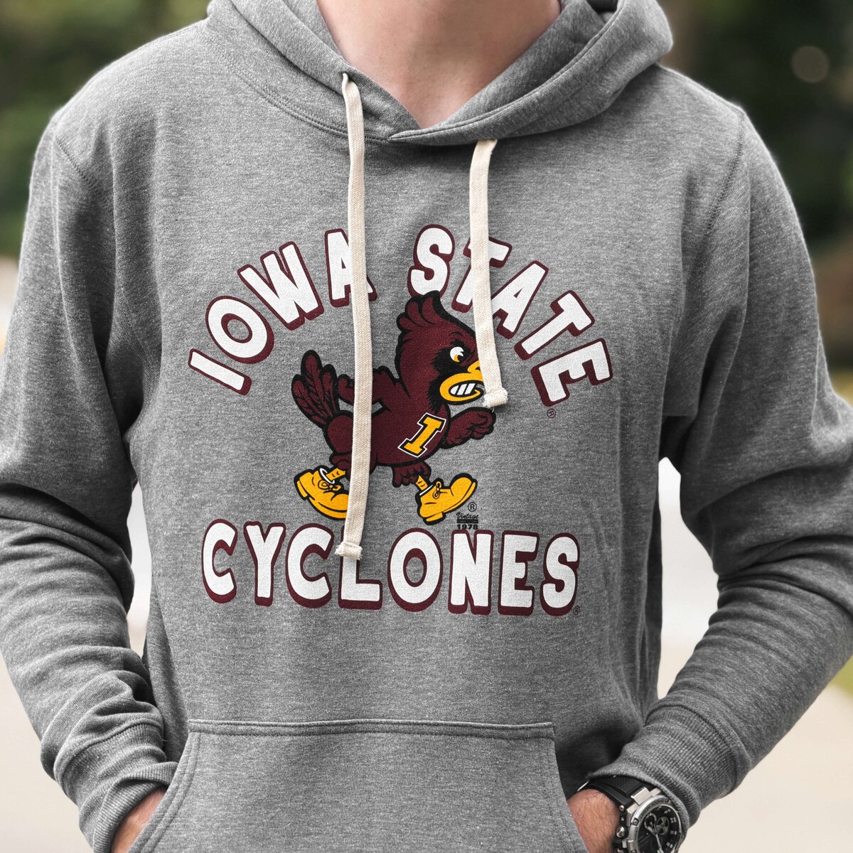 Homefield Walking Cy Gray Hoodie